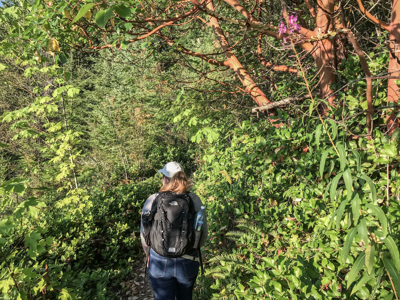190801.outdoors.hugopeak.er4.jpg